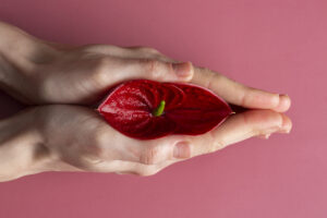 image-female-reproductive-system-concept-with-red-flower